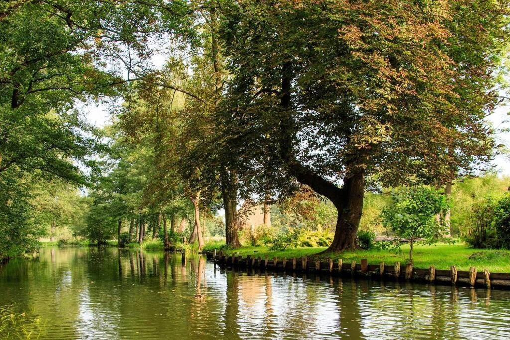 *Premium-Apartment Im Spreewald* بورغ المظهر الخارجي الصورة